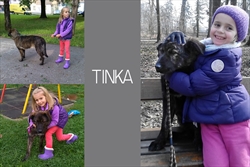 Tinka i Sara su pravi tandem :)  Tinka je iz skloništa udomljena u 2. mjesecu ove godine i otada se ne razdvaja od svoje najdraže, najmlađe udomiteljice Sare 
